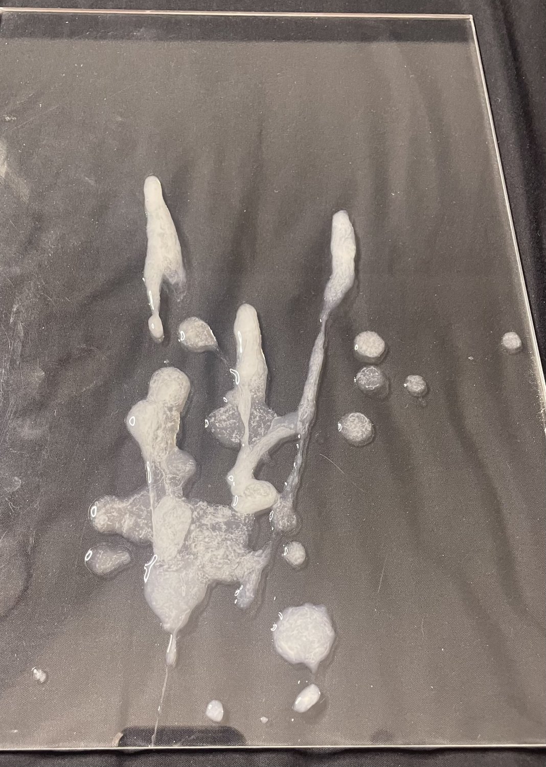 JIC2ZbVd Blackpink Lisa Kpop Cum Tribute 15.jpg